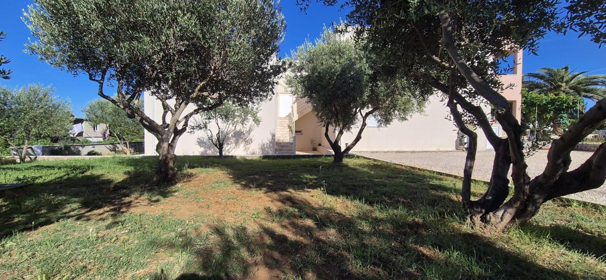 Apartman Petar Ražanac Buitenkant foto